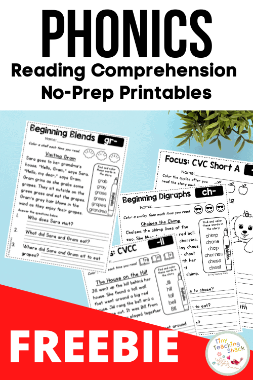 phonics reading comprehension worksheets
