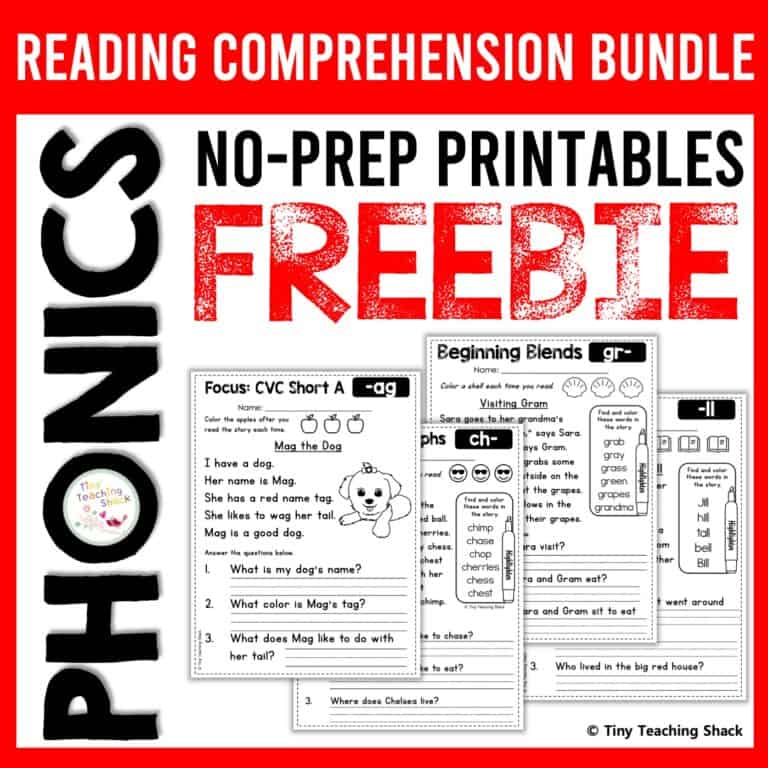 phonics skills worksheet examples