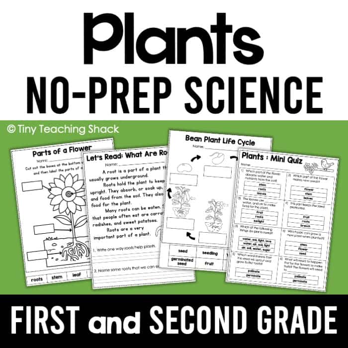 plant no prep science printables