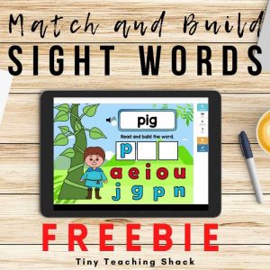 Match and Build Sight Words